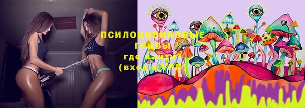 твердый Кинешма